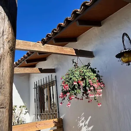 The Zarzamora Canary Little Home Los Realejos Esterno foto