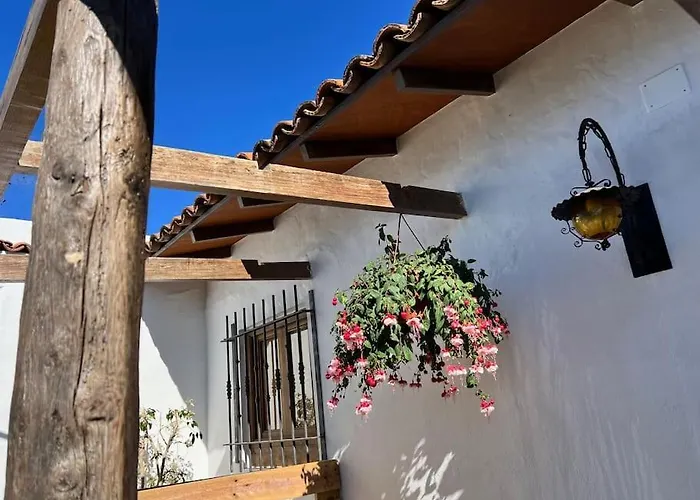 The Zarzamora Canary Little Home