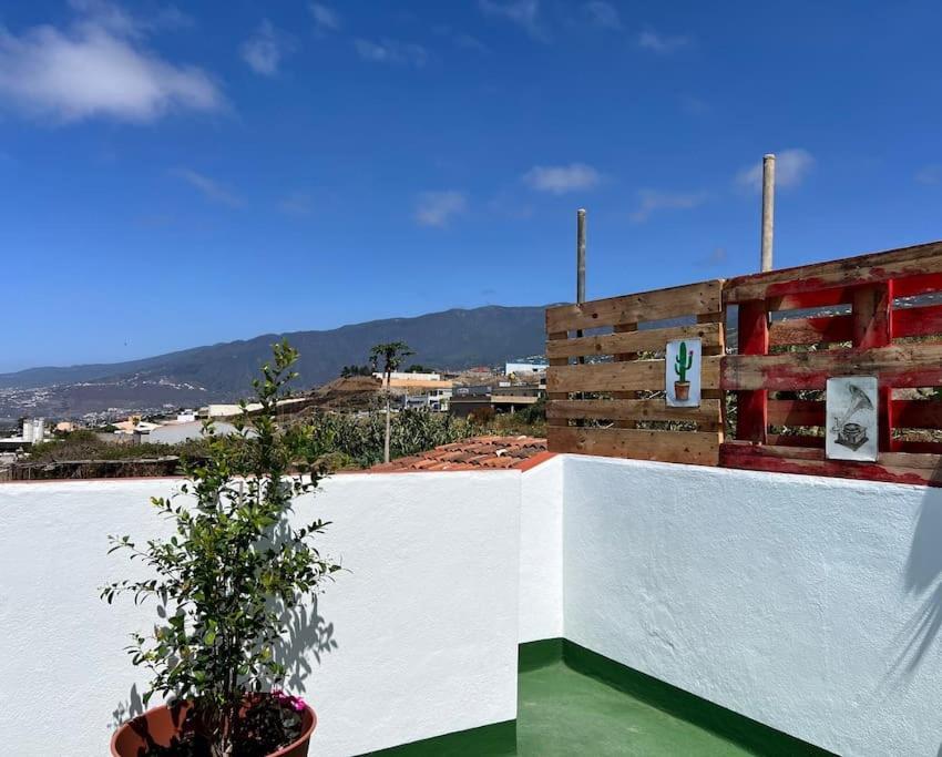 The Zarzamora Canary Little Ferienhaus Los Realejos